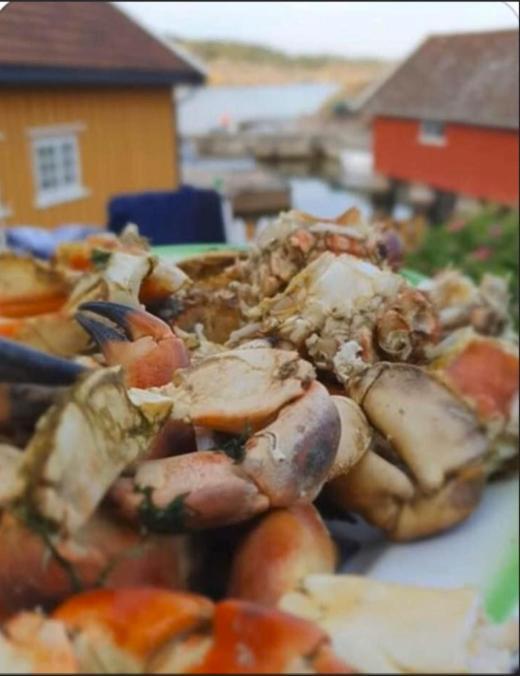 Lunvig - A Cosy Cottage In Idyllic Small Island Near Kristiansand, Sogne Extérieur photo